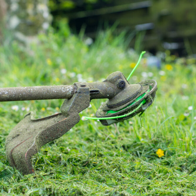 Landscaping Consumables