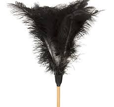 Feather Duster